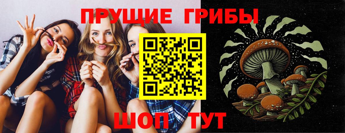 Псилоцибиновые грибы GOLDEN TEACHER  Вход с VPN  Галлюциногенные грибы GOLDEN TEACHER  Сосновоборск 